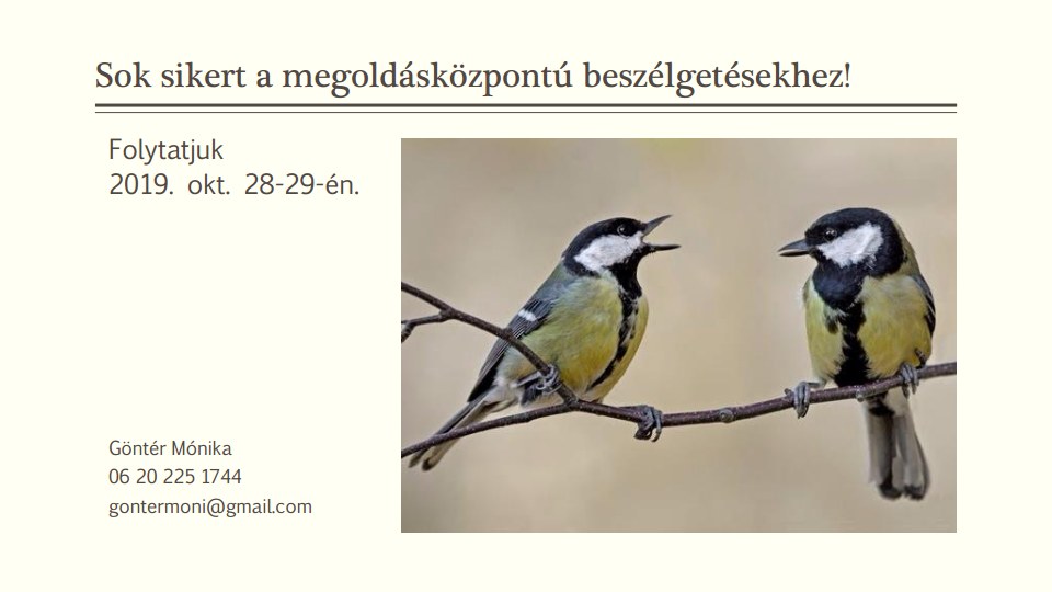 Vezetoi_trening_2019.10.16._A megoldaskozpontu_beszelgetesvezetesjpg_Page910